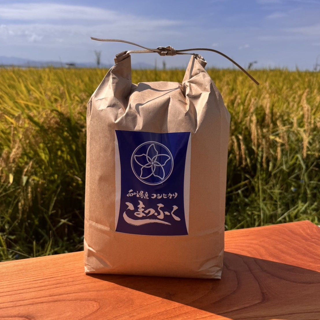 こまつふくイメージ1